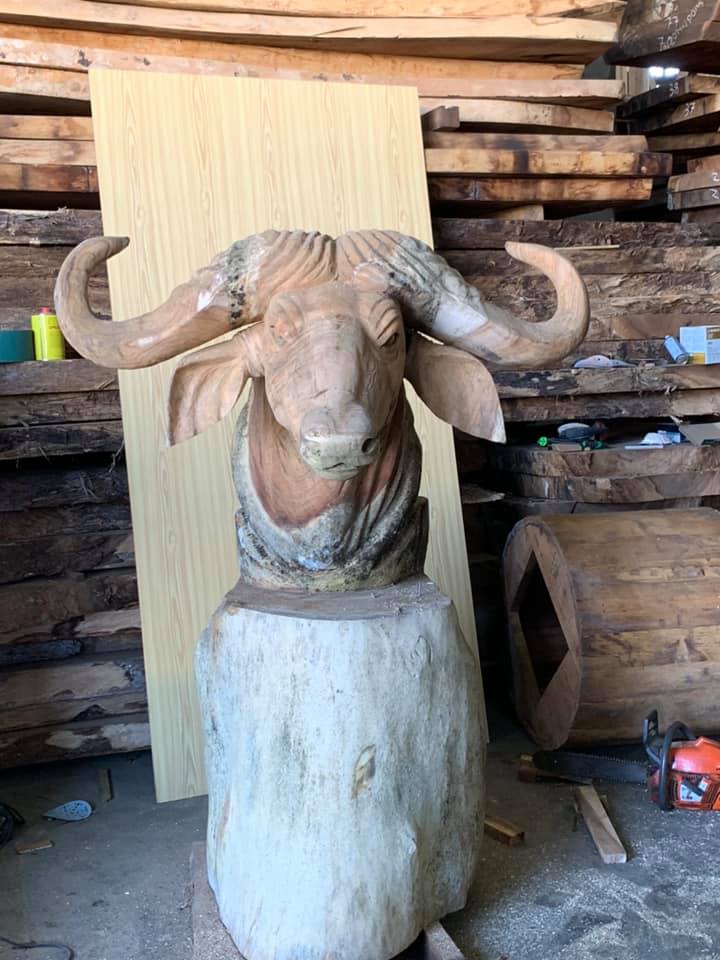 86733081_3586711114704810_1861000752307109888_n